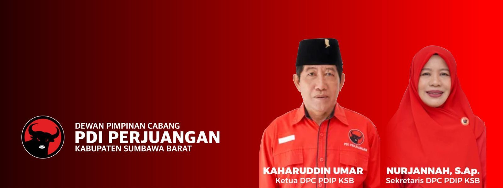 bg pdip1